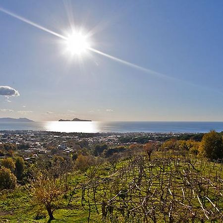 Tenuta Le Fornacelle Торре-дель-Греко Экстерьер фото